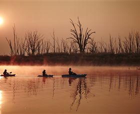 Winton Wetlands Reserve - VIC Tourism 7