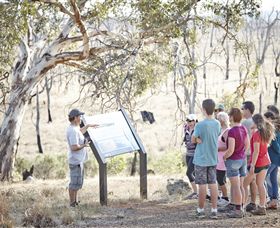 Winton Wetlands Reserve - VIC Tourism 5