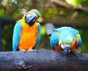 The Rockhampton Zoo - VIC Tourism 2