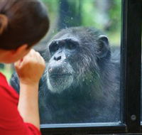 The Rockhampton Zoo - VIC Tourism