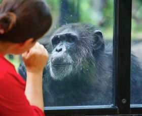 The Rockhampton Zoo - VIC Tourism 0