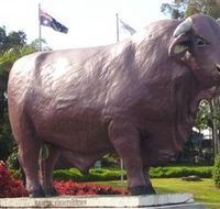 Rockhampton Bull Statues - VIC Tourism