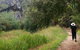 Borenore Karst Conservation Reserve - thumb 3