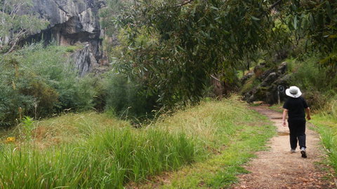 Borenore Karst Conservation Reserve - VIC Tourism 3