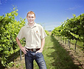 Stockmans Ridge Wines - VIC Tourism 0