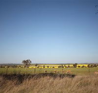 Cootamundra Bird Walk - VIC Tourism