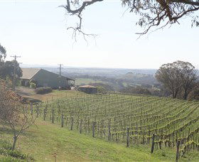 Cargo Road Wines - VIC Tourism 1