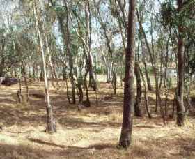 Chiltern-Mt Pilot National Park - VIC Tourism 0