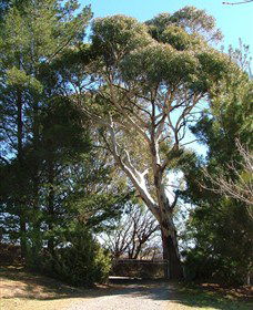 Habitat Vineyard - VIC Tourism 1