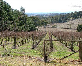 Habitat Vineyard - VIC Tourism 0