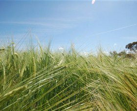 150 Degrees East Meridian - VIC Tourism 0