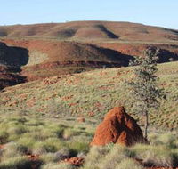 Camel Trail Millstream-Chichester National Park - VIC Tourism