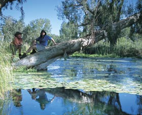 Millstream Chichester National Park - VIC Tourism 1