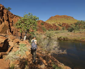 Millstream Chichester National Park - VIC Tourism 3