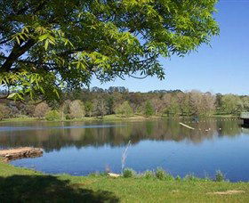 Lake Canobolas Reserve - VIC Tourism 0