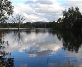 Wonga Wetlands - VIC Tourism 1