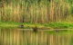 Wonga Wetlands - thumb 2