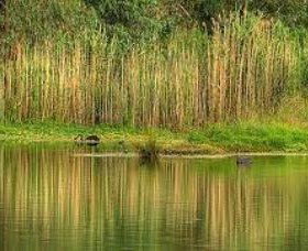 Wonga Wetlands - VIC Tourism 2