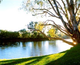 Albury - Murray River Precinct - VIC Tourism 0