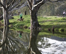 Albury - Murray River Precinct - VIC Tourism 3