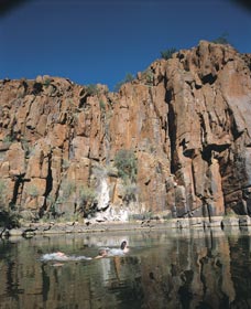 Python Pool - VIC Tourism 3