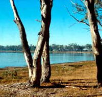 Lake Broadwater Conservation Park - VIC Tourism