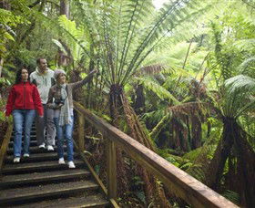 Otway Fly Treetop Adventures - VIC Tourism 0