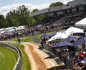 Thoroughbred Park Canberra Racing Club - Horse Racing In The Nations Capital - VIC Tourism 0
