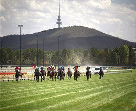 Thoroughbred Park Canberra Racing Club - Horse Racing In The Nations Capital - VIC Tourism 3