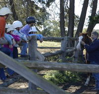 Harlow Park Horse Riding - VIC Tourism