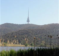 Black Mountain Peninsula - VIC Tourism