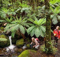 Baw Baw National Park - VIC Tourism
