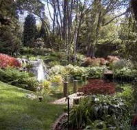 Windyridge Garden Mount Wilson - VIC Tourism