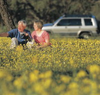 Coalseam Conservation Park - VIC Tourism