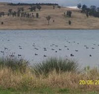 Lake Liddell Recreation Area - VIC Tourism