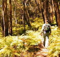 Federal Pass - VIC Tourism