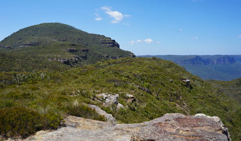 Mount Banks Road Cycle Route - VIC Tourism 0