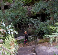 Leura Cascades Fern Bower - VIC Tourism