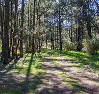 Wombeyan Waterfall walking track - VIC Tourism