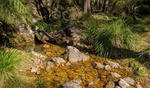 Wombeyan Waterfall Walking Track - VIC Tourism 1