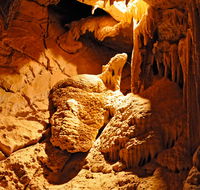 Fig Tree Cave - VIC Tourism