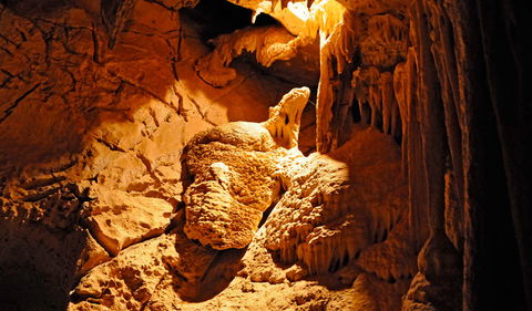 Fig Tree Cave - VIC Tourism 0