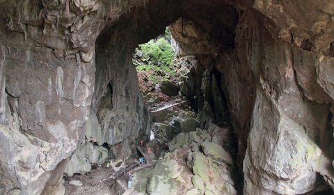 Fig Tree Cave - VIC Tourism 1