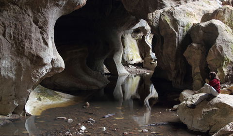 Fig Tree Cave - VIC Tourism 2