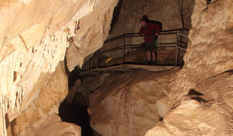 Fig Tree Cave - VIC Tourism 3