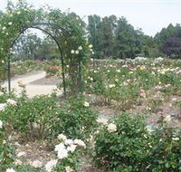 Victoria Park Rose Garden - VIC Tourism