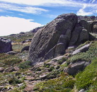 Mount Stillwell walk - VIC Tourism