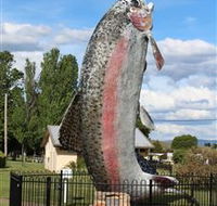 Big Trout - VIC Tourism