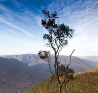 Salisbury Waters walking track - VIC Tourism