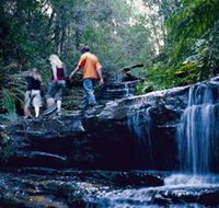 South Lawson Waterfall Circuit - VIC Tourism